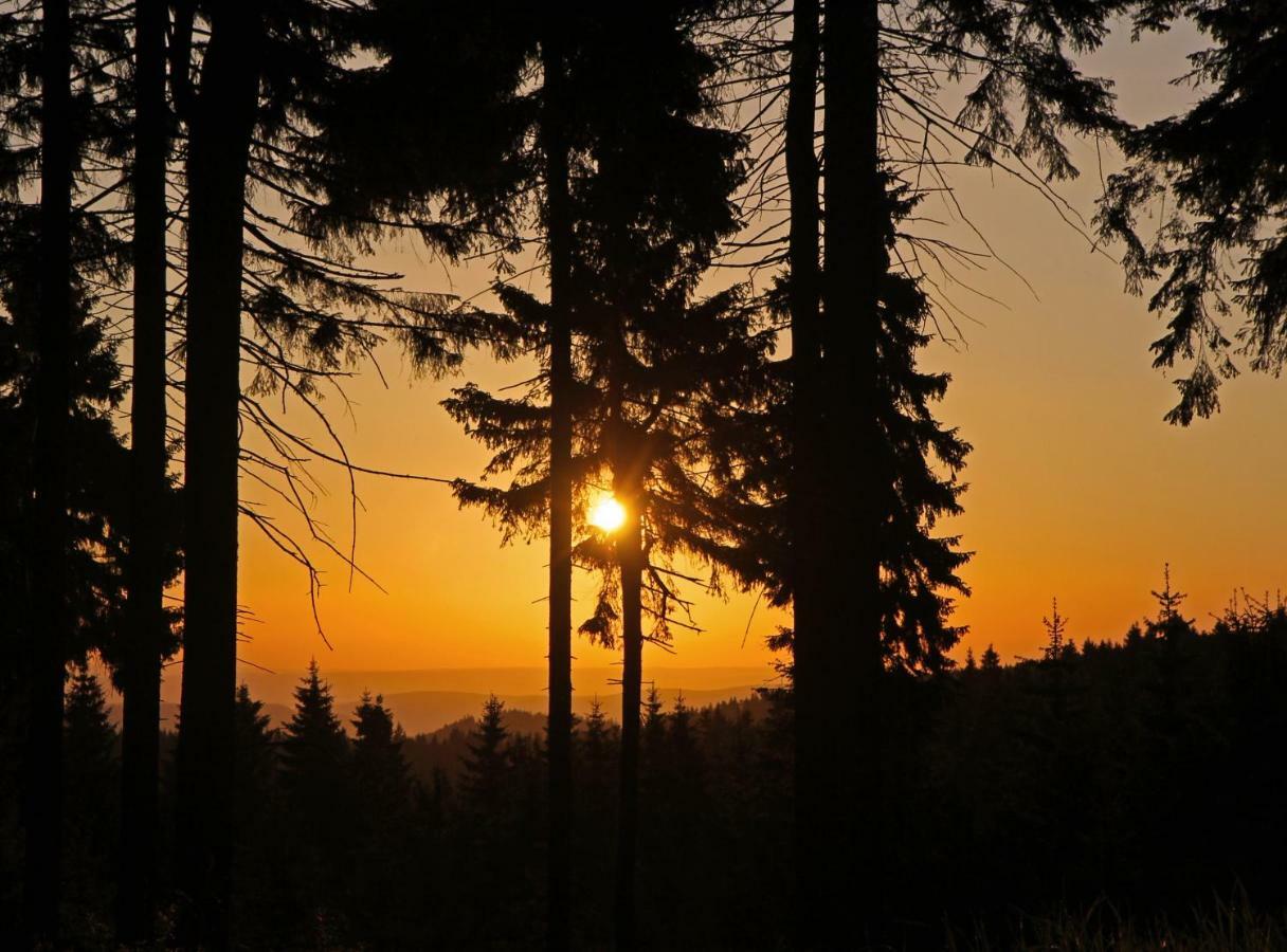 Extrablatt * Oberhof (Thuringia)